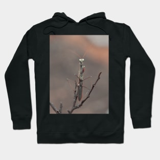 praying mantis Hoodie